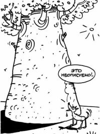 14 раз люди были поражены размером чего-либо