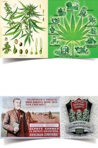 20 ужасных соседей, которые забыли, что такое здравый смысл