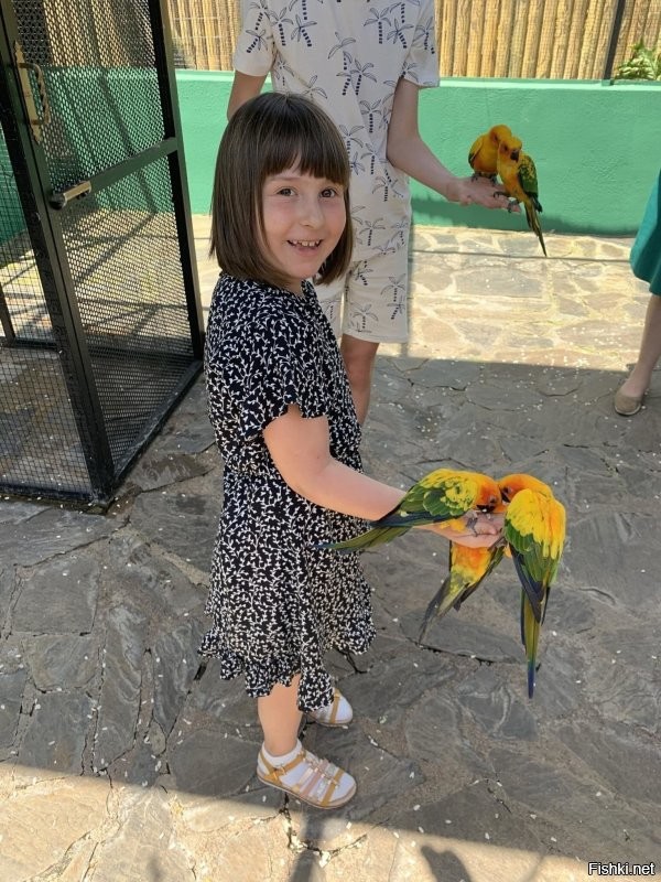 На прошлой неделю в Испании , дети хоть наигрались с разными видами попугаев и какаду