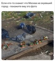 знаю эту икру. желатин в банках. сам голубям отдал