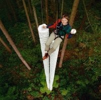 В 1994-м Билл Гейтс продемонстрировал, насколько эффективно хранить информацию на компакт-дисках. Для сравнения, на одном CD информации уместится больше, чем в стопках бумаг под Биллом.