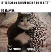 Фотоприколы и&nbsp;прикольные картинки