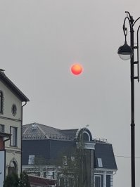 Во время лесных пожаров в Сибири. 10 мая 2023