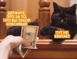 Скрины из соцсетей&nbsp;