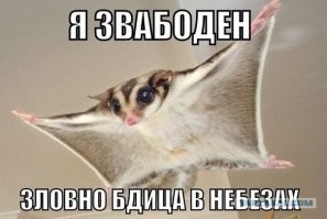 Очень рад за Валеру, молодец, талантище.