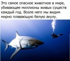 35 кошмарных творений Матери-природы