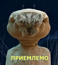 16 макрофотографий привычных вещей, которые так сразу и не узнаешь