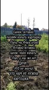 Идеи отдыха с детьми на свежем воздухе