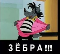 Зебра неожиданно устроила погоню за бородавочниками