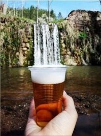 «Москвич» в этом году продал всего 35 электрокаров