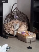 Вот моя. Абсолютно довольное жизнью существо.