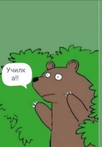 Сногсшибательные учительницы, которые успешно "отстрелялись" в этом учебном году