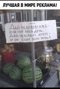Фотоприколы и&nbsp;прикольные картинки