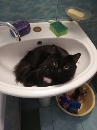 Иди на кухню умываться.