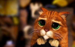 Милые и опасные попрошайки, которым невозможно отказать