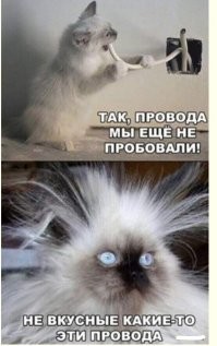 Демотиваторы: соблазн, электричество и котики