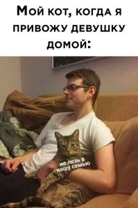 17 изображений, доказывающих, что животные те ещё ревнивцы