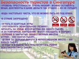 В Сингапуре очень много ограничений и жестокие наказания,  даже телесные.
В хозяйственных магазинах продаются розги для воспитания детей..(