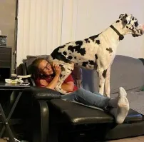 На пенсию уйдёшь и сбудется твоя мечта.