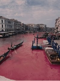 "Экошизики" выкрасили воды Гранд-канала Венеции в зелёный цвет