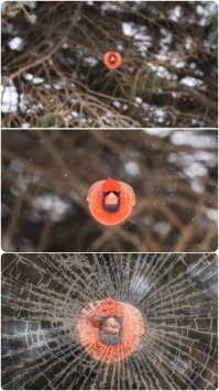 Фотоподборка