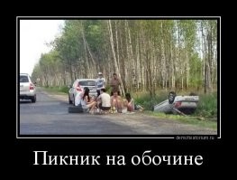 Потому что настоящий пикник на обочине это вот