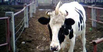 Фотоприколы и&nbsp;прикольные картинки