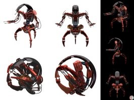 Панцирный клещ — самое сильное существо на планете