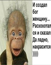 Фотоприколы и&nbsp;прикольные картинки