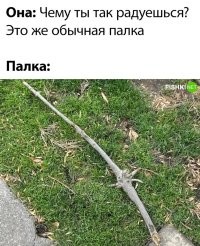 Комментарии и картинки из соцсетей. Свежак за 29 мая