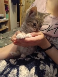 Сегодня появился в моём доме.... Джо, ну или просто жора.