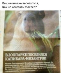 Не ищите здесь смысл. Здесь в основном маразм