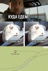 Пардоньте. На фишках, в течение полугода в каждой подборке мемов было...