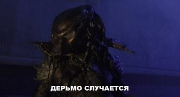 25 бедолаг, чей день явно не задался
