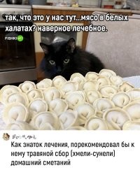 Хмели-сунели - это ненаучный подход и шарлатанство. Лечебное питание этим продуктом достигает наибольшего оздоровительного эффекта только с применением интенсивного промывания пищевода 40%-ным спиртовым раствором порциями по 100 - 150 грамм. Раствор глотать, не выплёвывать!