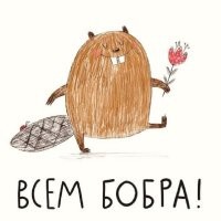 Операция по спасению бобра