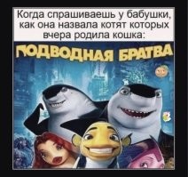 Фотоприколы и&nbsp;прикольные картинки