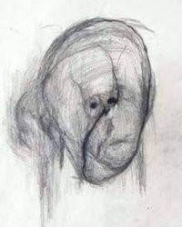 дык-вон оказывается как видит МИР *самоходный дед*