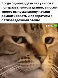 С блэкджеком и шлюхами?