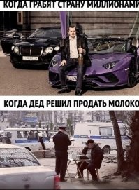 В Госдуме предупредили дачников о штрафах за продажу урожая
