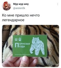 Смешные названия и надписи от людей с богатой фантазией