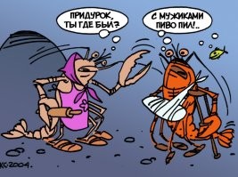 Скрины из соцсетей&nbsp;