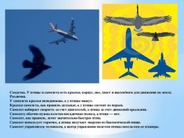 Скрины из соцсетей&nbsp;
