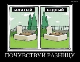 Скрины из соцсетей&nbsp;