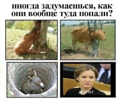 Депутат Госдумы прислушался к сыну и предложил отменить домашнее задание для школьников