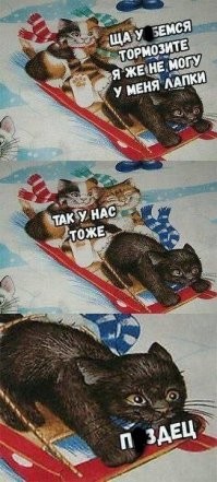 Фотоприколы и&nbsp;прикольные картинки