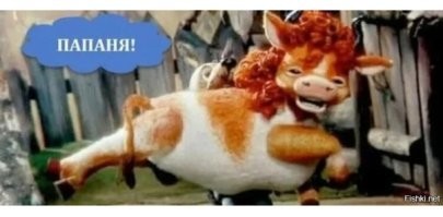 В Якутии спасли осиротевшего новорождённого лосёнка