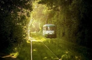 Старый трамвай застыл на путях,
Ослеплённый в потоке яркого света,
В бетонных кварталах и на площадях,
В городе правит жёлтое лето...

(С)