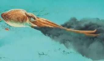 Весёлая и болезненная игра, в которой нет победителя