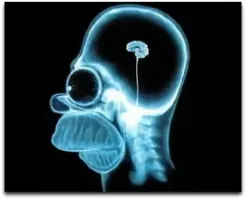 "Хочу свалить от мужа": о девушках, которые знакомятся в интернете